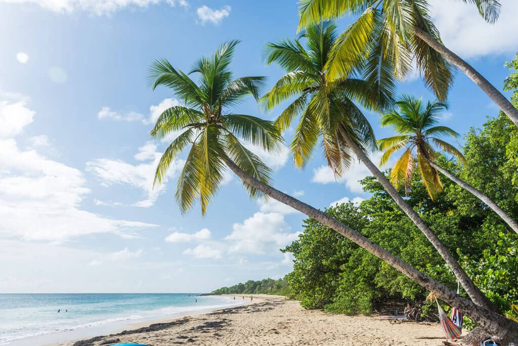Playa Grande Anse des Salines - Martinica