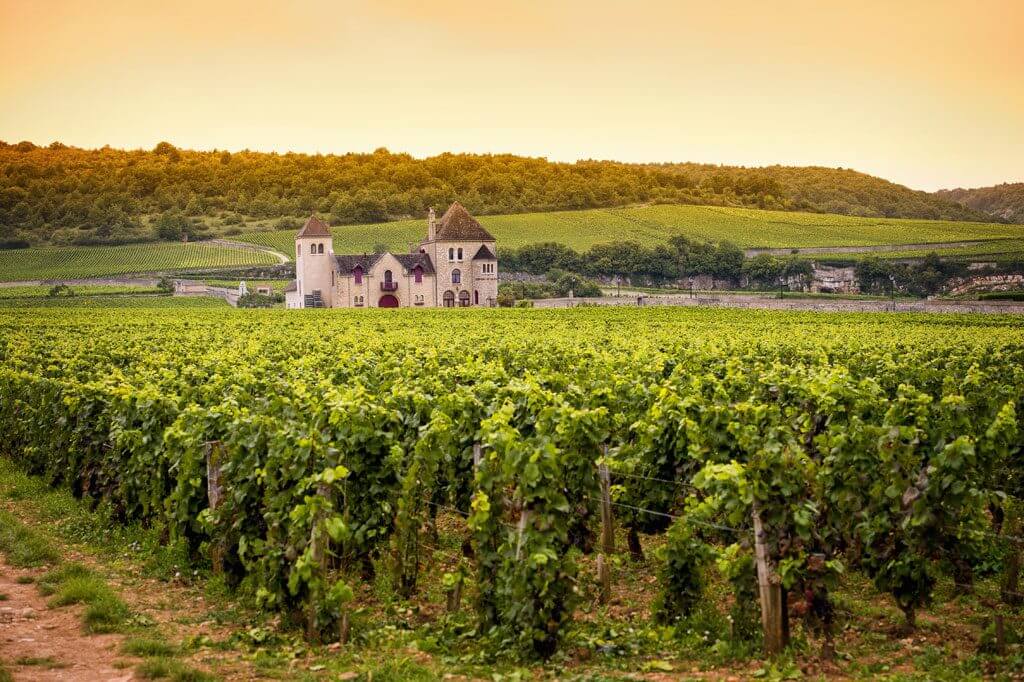 Región vinícola de Borgoña, Francia
