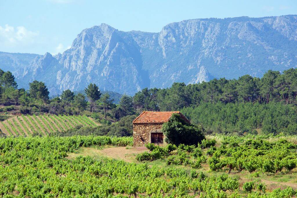 Región vinícola de Languedoc, Francia