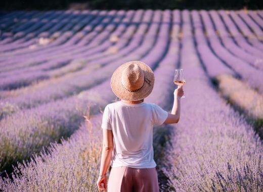 Wine of Provence, France