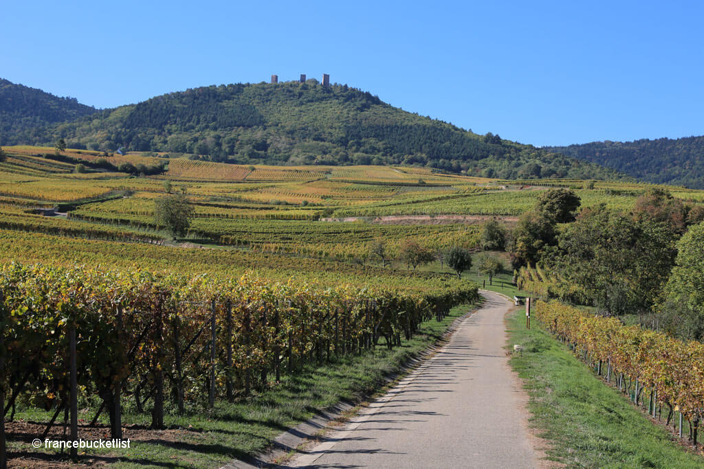 3 Castles Hike -Eguisheim