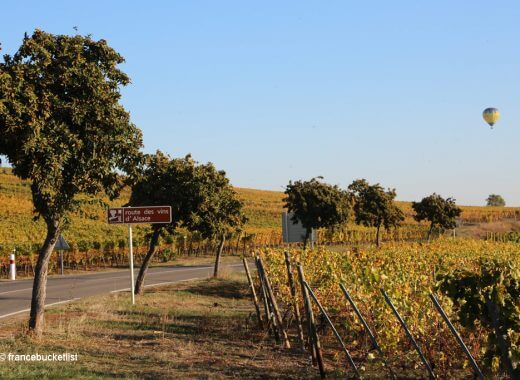 Alsace Wine Trail