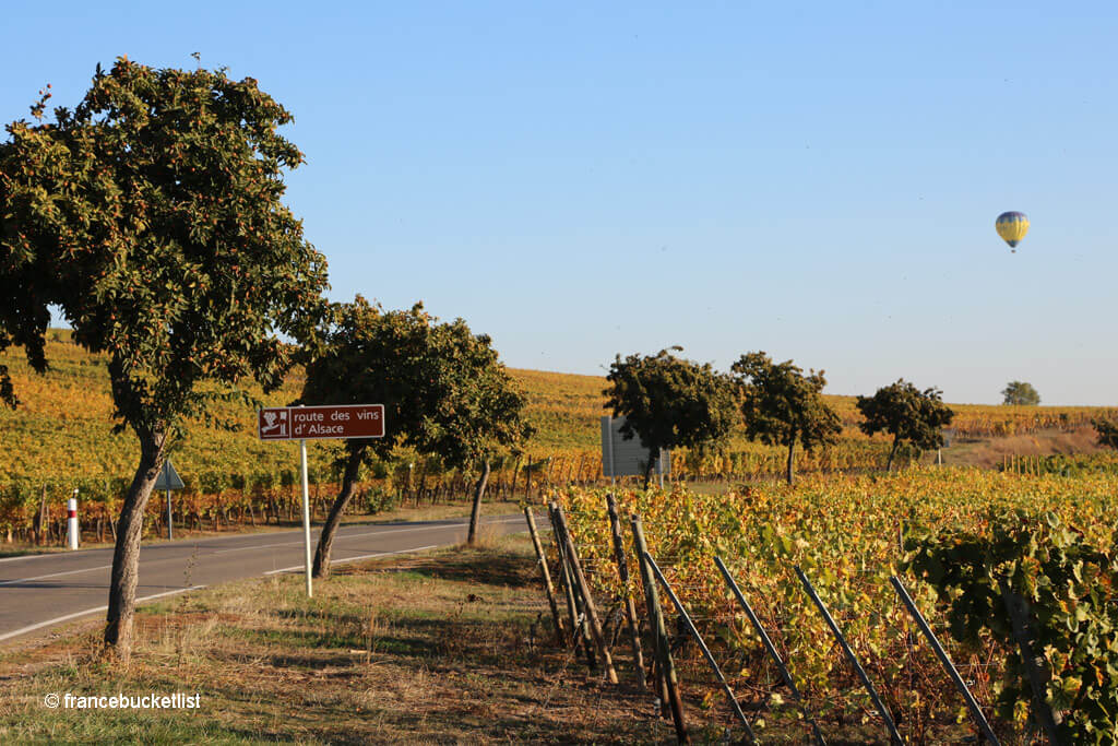 Alsace Wine Trail