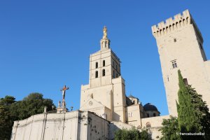 One Day in Avignon Itinerary Best Tips France Bucket List