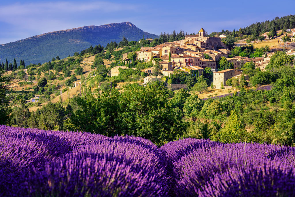 best time to visit provence lavender fields
