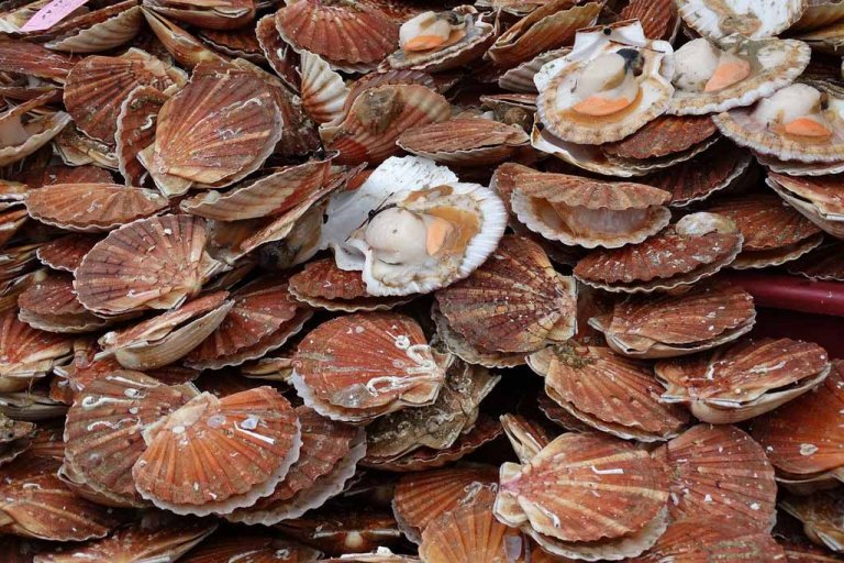 Traditional French Christmas Dinner (+ Christmas Food in France) France Bucket List