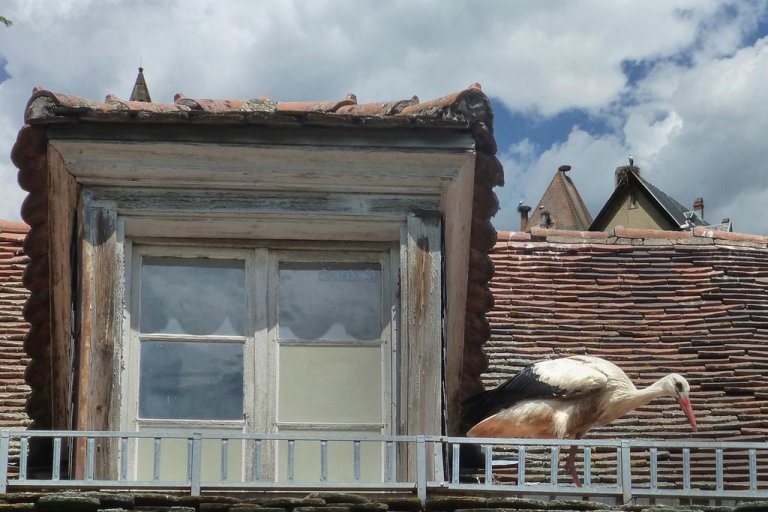 Weather South of France in March Regional Climate Variations