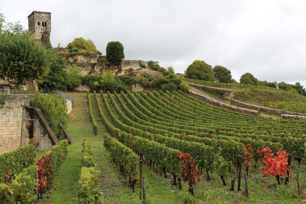 top wine tours in bordeaux