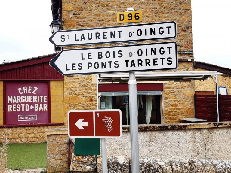 Best Wine Tours from Lyon, France | France Bucket List