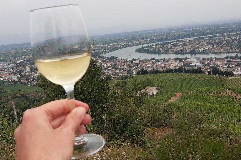 Best Wine Tours from Lyon, France | France Bucket List