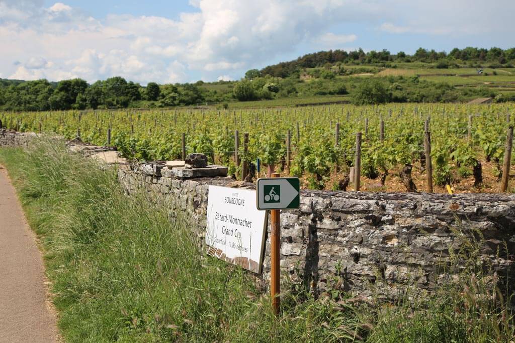 Voie des Vignes - Bâtard Montrachet