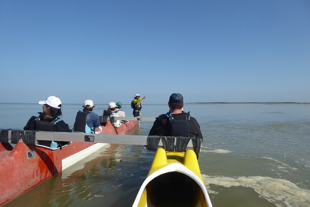 Baie de Somme by Canoe