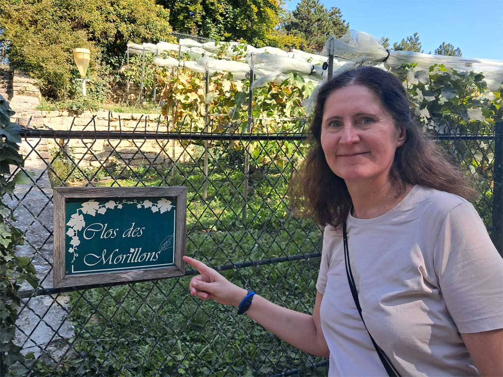 Clos des Morillons - Paris