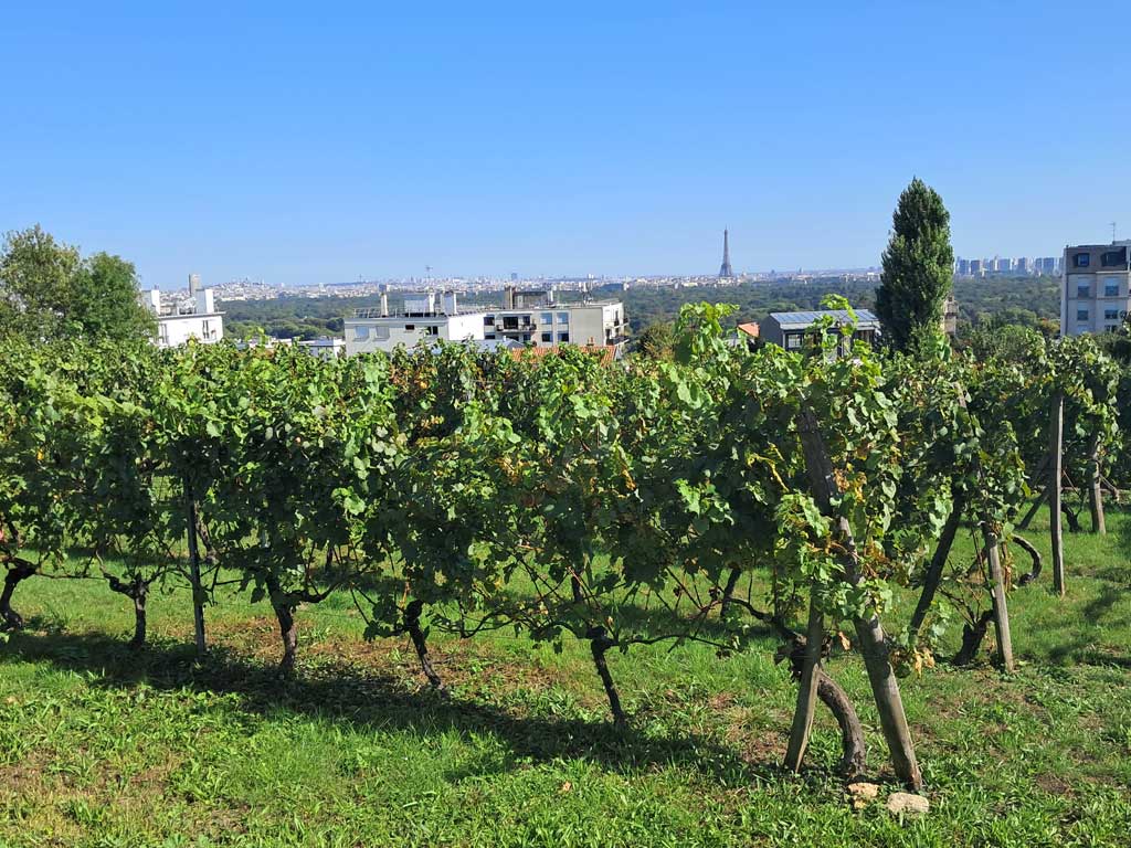 Clos du Pas de Saint Maurice - Suresnes
