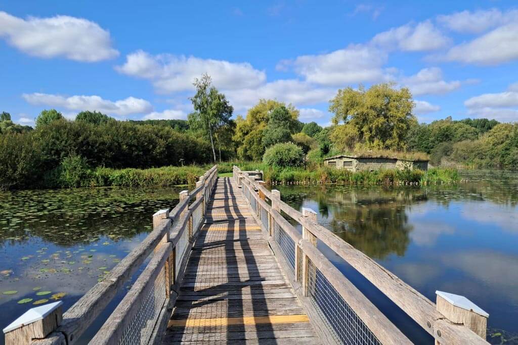 Marais des Cavins - Somme