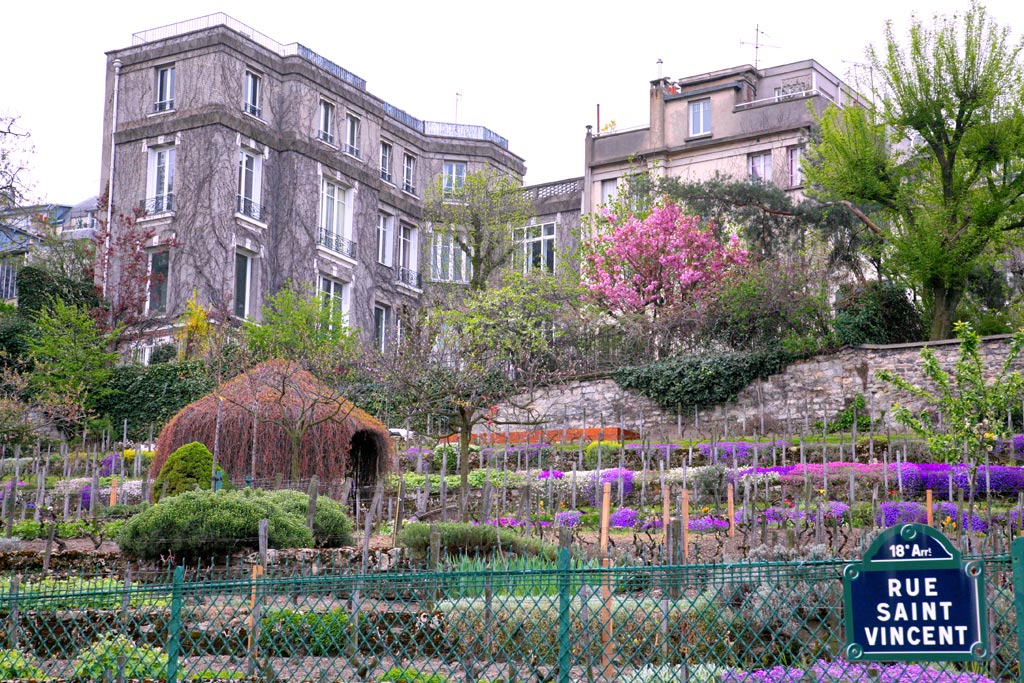 Clos de Montmartre