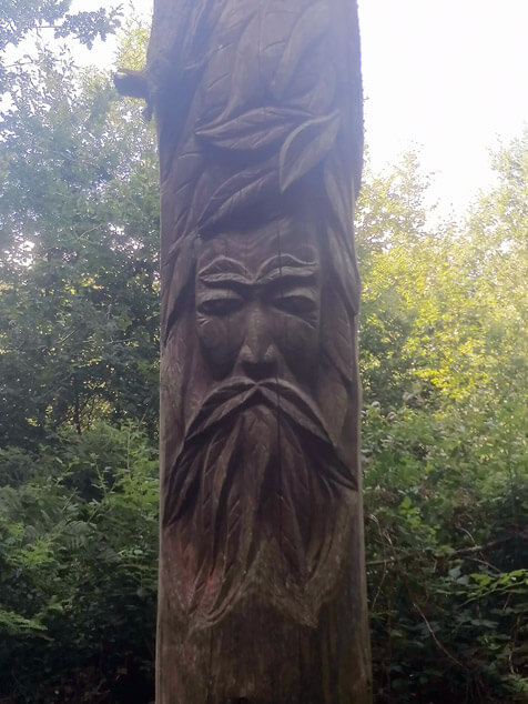 Sculpted Trees - Crécy Forest
