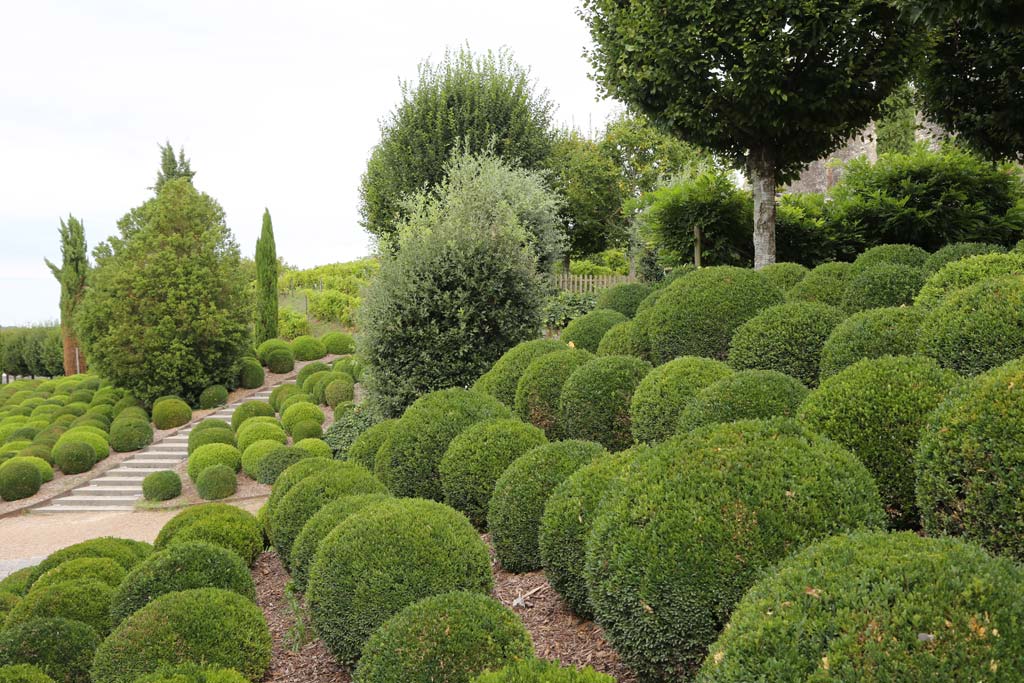 Chateau Royal's Gardens - Amboise